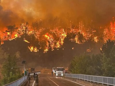 Лісові пожежі охопили південь Туреччини