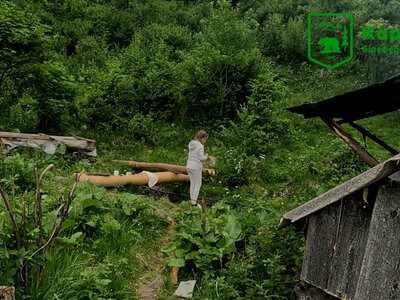Жінка з донькою самі живуть під Говерлою: як мешкає сім’я на полонині — PMG.ua