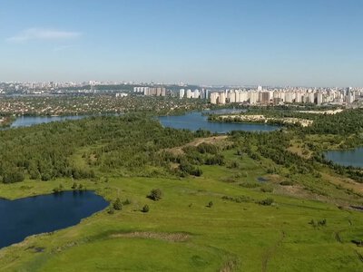 22 гектари з озером під загрозою забудови: Київрада та активісти програли суд за «Екопарк Осокорки»