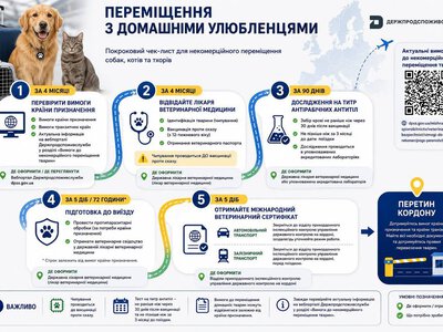 Плануєте поїздку з домашньою твариною за кордон?