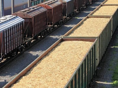Залізниця Молдови може перевозити 4,5 млн тонн українського зерна на рік
