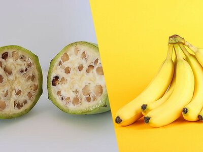 Ніби з іншої планети: як виглядали овочі та фрукти до того, як їх змінила людина