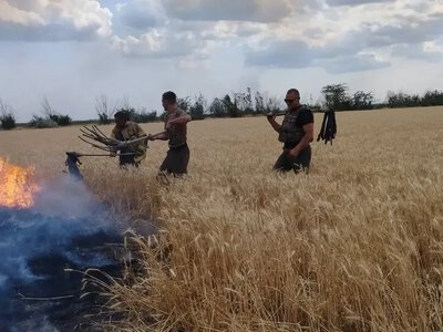  Площа втрачених посівів на Херсонщині може сягнути 15 тисяч гектарів 