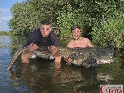 Рибалки витягли сома завдовжки 2,3 метра — з його пащі з’явився несподіваний «улов»
