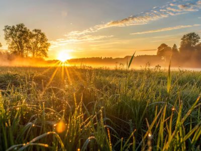 До +29° та без опадів: на Сумщині очікується потепління