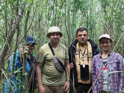 Історичний ландшафт чи нова екосистема: що формується на дні Каховського водосховища