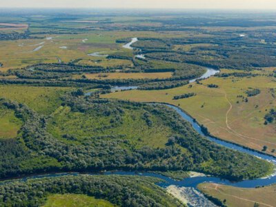 День річки Десни: багатство біорізноманіття та нові виклики для найбільшої притоки Дніпра