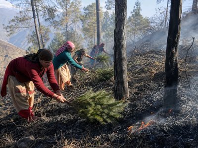 Жінки в Уттаракханді гасять лісові пожежі без захисного спорядження — Mongabay