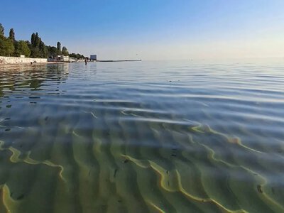 Море потроху холоне: якою буде температура води біля Одеси 9 вересня