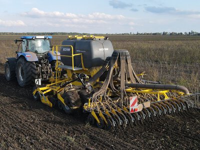 В Україні стартувала сівба озимих зернових: роботи вже проводять у семи областях