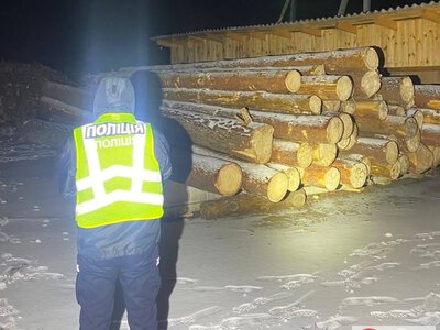 На Житомирщині п’ятьом чоловікам оголосили підозри через вирубку лісу в заказнику на 2,8 млн грн