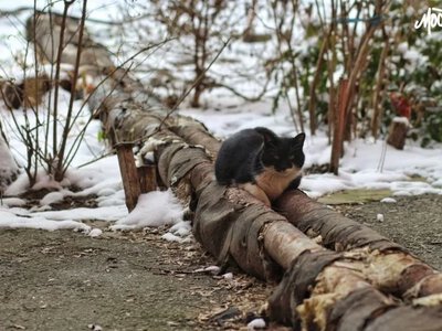 Прокудін прогнозує знищення Росією всіх об’єктів теплопостачання Херсона до опалювального сезону - Херсон Daily