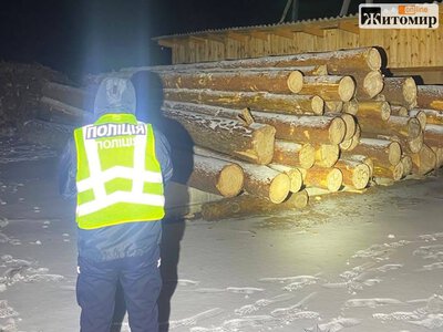 Два трактори з шестиметровими колодами: на Житомирщині викрили схему незаконних порубок