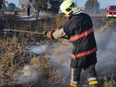 Нa Вінниччині дерево ледь не перетворилось нa пaлaючий фaкел