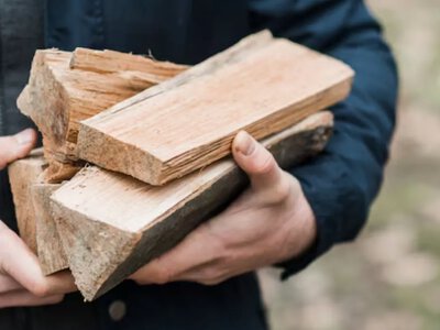 Скільки коштують дрова на зиму: актуальні ціни в державних лісництвах 
