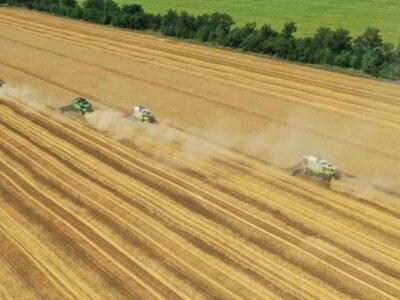 Аграрії Одещини зібрали рекордний урожай зернових