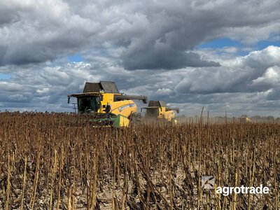 АГРОТРЕЙД розпочав збирати соняшник із площі майже 15,7 тис. га