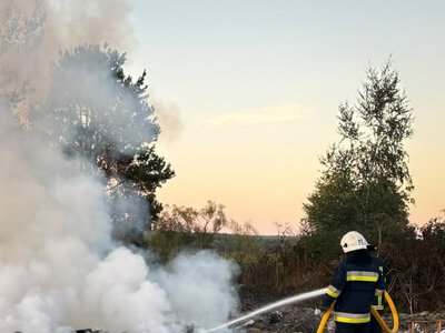 На Буковині за добу зареєстрували 10 надзвичайних подій: сталися пожежі та ДТП