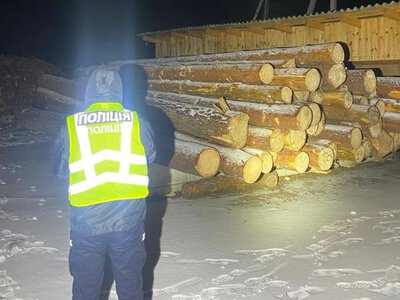 Серед фігурантів - житель Рівненщини: на Житомирщині викрили чорних лісорубів