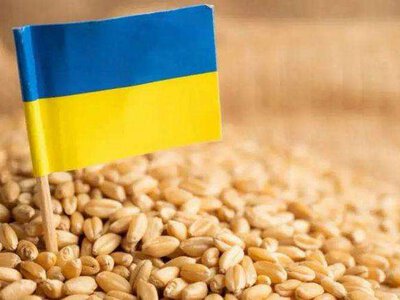 Україна має розвивати власний приватний флот для бізнесу, - Кашуба