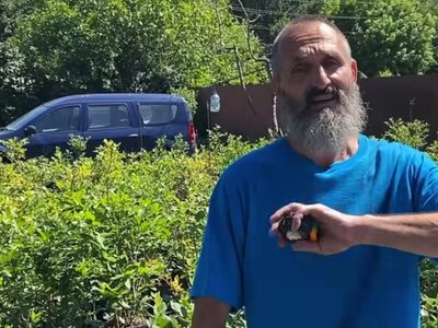 700 кущів лохини та порятунок 45 котів: киянин переїхав у село та радикально змінив життя (фото) (Відео)