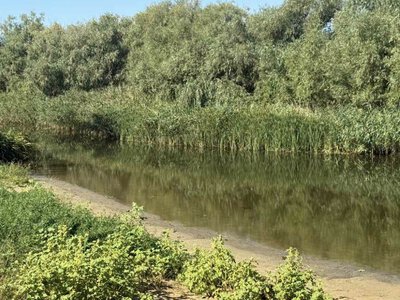 На Одещині зникло озеро через дамбу мисливців