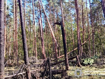 На Рівненщині лісничий виявив уламки ворожої ракети (ФОТО)