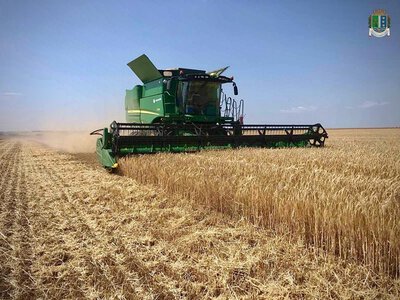 Одещина зібрала рекордний урожай зернових понад 5 мільйонів тонн