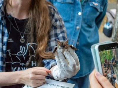 Науковиця з Асканії-Нова взяла участь у Ніч кажанів в Івано-Франківську