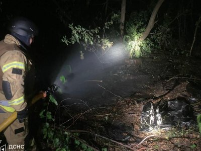 У Святошинському районі після падіння російського БпЛА загорілася лісова зона