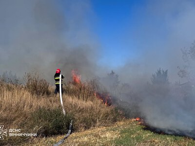 Через людську недбалість на Вінниччині горіло понад 7 га землі
