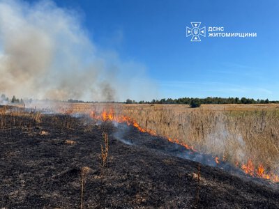 Минулої доби рятувальники області 7 разів виїжджали на гасіння пожеж сухої трави