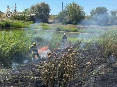 На Рівненщині за добу вигоріло понад два гектари сухої трави