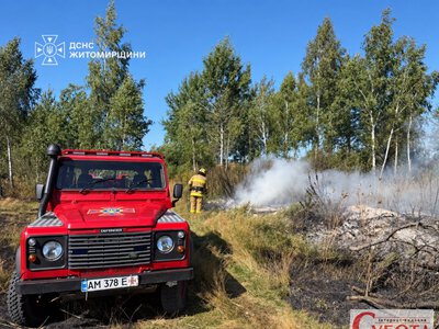За добу на Житомирщині сталося сім пожеж сухої трави: вигоріло понад шість гектарів