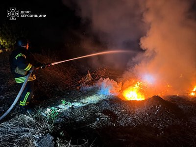 На Херсонщині рятувальники ліквідували нічну пожежу