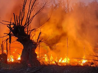 Удари по ТЦ, житлових будинках та навчальному закладі: ворог вкотре атакував Україну, є жертви