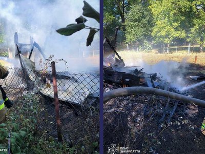 Пожежа у причепі на Тячівщині знищила пасіку з 16 вуликами