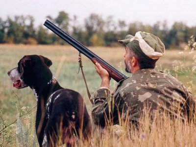 На Полтавщині дозволили полювання: визначили дні та умови