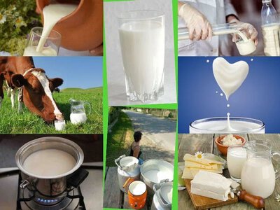 Як перевірити якість молочних продуктів вдома