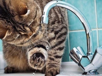 У Бучі  частково відключать воду: які вулиці залишаться без водопостачання