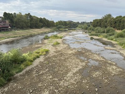 Річки Закарпаття стрімко міліють: водність продовжить знижуватися до 15 вересня