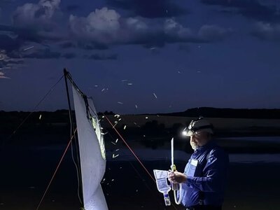 Науковець з «Асканії-Нової» досліджує грибкові хвороби комах на Закарпатті