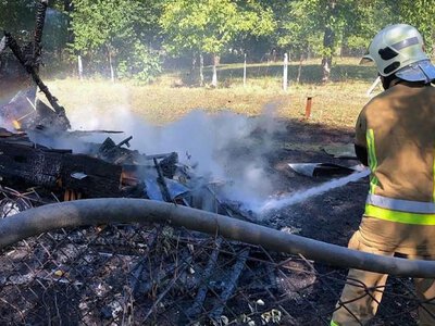 Під час пожежі на Тячівщині загнуло 16 бджолиних родин