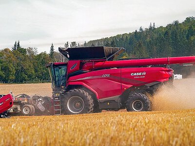 Датчики на решетах Case IH: як мінімізувати втрати зерна