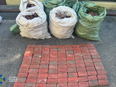 Військовий хотів продати близько пів тонни вибухівки на Харківщині