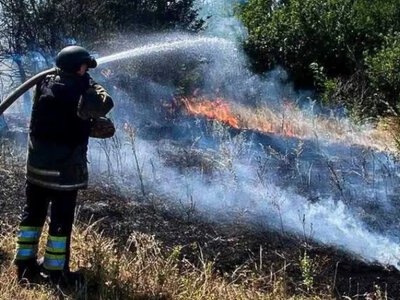 На Херсонщині рятувальники за добу загасили три пожежі в екосистемах
