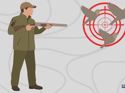 На Буковині дозволили відкрити сезон полювання на диких птахів: хто ініціював та навіщо