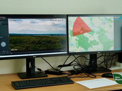 Ліси Вінниччини під цілодобовим наглядом: камери спостереження синхронізували із системою ДСНС