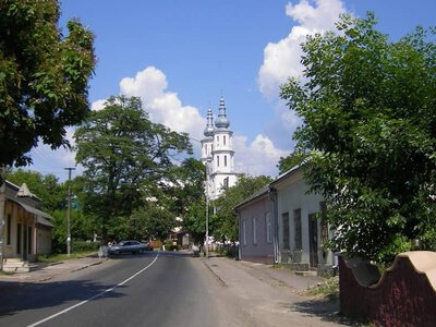  Площу найменшого міста на Закарпатті збільшать майже удвічі 