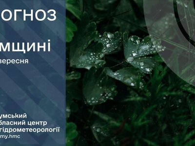 На Сумщині прогнозують дощі
